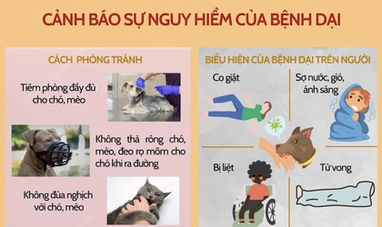 Đẩy mạnh công tác phòng, chống bệnh dại trong cộng đồng