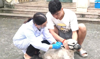 Xã Đoài Phương tăng cường tiêm phòng bệnh Dại, siết chặt quản lý đàn chó, mèo