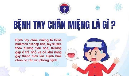 UBND PHƯỜNG VĂN MIẾU – QUỐC TỬ GIÁM TĂNG CƯỜNG TUYÊN TRUYỀN, CHỦ ĐỘNG PHÒNG, CHỐNG BỆNH TAY CHÂN MIỆNG TRÊN ĐỊA BÀN