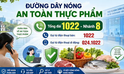 Hà Nội công khai đường dây nóng tiếp nhận, giải đáp phản ánh về An toàn thực phẩm qua Tổng đài 1022