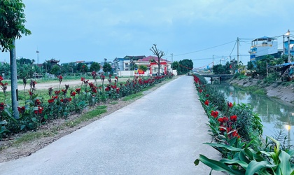 Cụ bà 82 tuổi âm thầm “dệt” sắc hoa trên đường quê