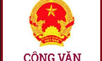 Công văn về việc cảnh báo sản phẩm sữa công thức a2 Platinum Premium dành cho trẻ 0-12 tháng tuổi 