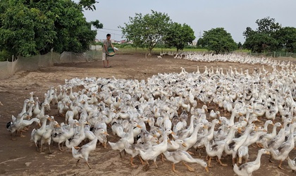 Anh Nhữ Tiến Sỹ - làm giàu từ ruộng bỏ hoang