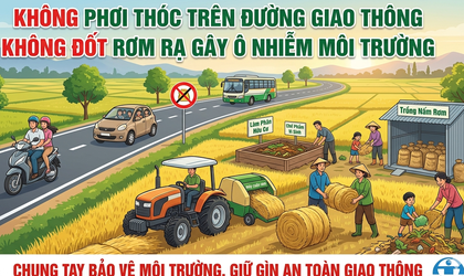 Xử lý rơm rạ đúng cách sau thu hoạch lúa để bảo vệ môi trường, phát triển nông nghiệp bền vững