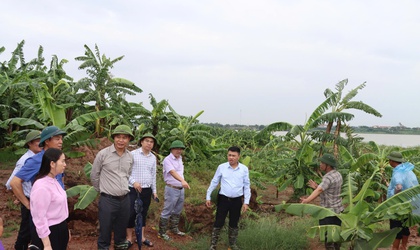 Xã Phú Xuyên Chủ động Phòng Chống Thiên tai
