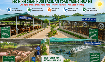 Chủ động phòng chống nắng nóng cho đàn vật nuôi và thủy sản
