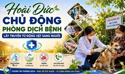 Hoài Đức chủ động phòng dịch bệnh lây truyền từ động vật sang người