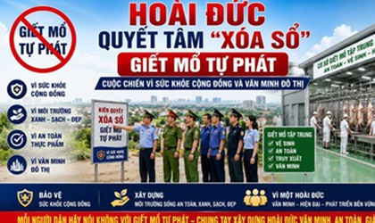 Hoài Đức quyết tâm “xóa sổ” giết mổ tự phát - cuộc chiến vì sức khỏe cộng đồng và văn minh đô thị