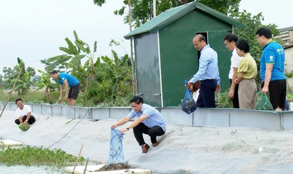 Ứng Hòa triển khai mô hình điểm nuôi cua cà ra xuất khẩu tại thôn Đống Long.