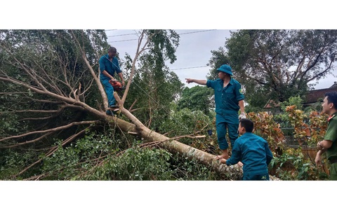 TỔNG DỌN VỆ SINH MÔI TRƯỜNG SAU MƯA BÃO