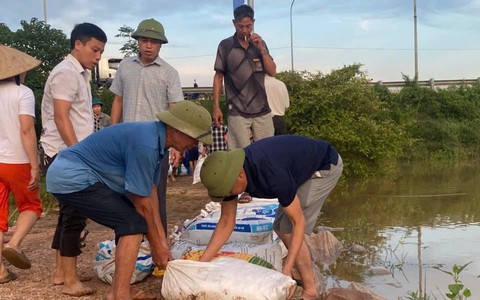 THÔN THỤY HƯƠNG GIA CỐ ĐÊ NGĂN LỤT TRÀN