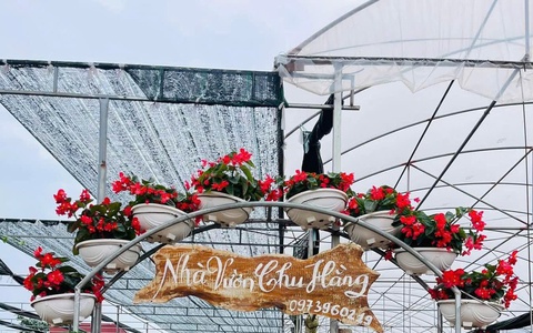 Làng hoa cây cảnh Tích Giang – Điểm đến xanh cho những trải nghiệm độc đáo