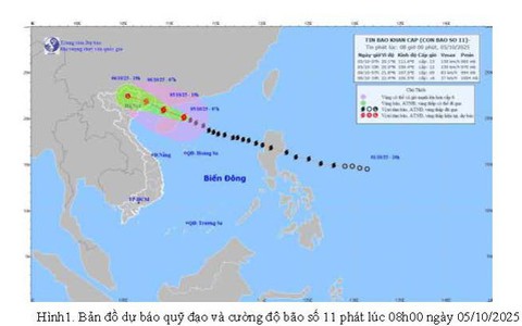 Tin bão Khẩn cấp