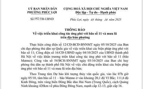 UBND phường Phúc Lợi triển khai công tác ứng phó với bão số 11 và mưa lũ