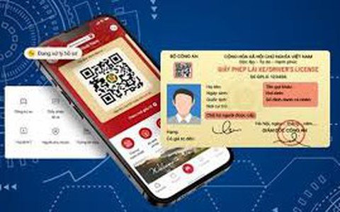 Hướng dẫn làm sạch dữ liệu phương tiện và Giấy phép lái xe