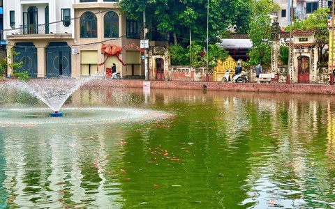 KHI TÌNH YÊU LÀNG XÓM TRỞ THÀNH HÀNH ĐỘNG - Những người giữ hồn xanh cho ao chùa Triều Khúc