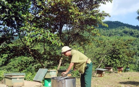 Người cựu chiến binh không khuất phục trước đói nghèo