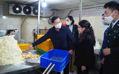 Hà Nội: Đảm bảo an toàn thực phẩm phục vụ Tết Dương lịch, Tết Nguyên đán Bính Ngọ và Lễ hội Xuân năm 2026