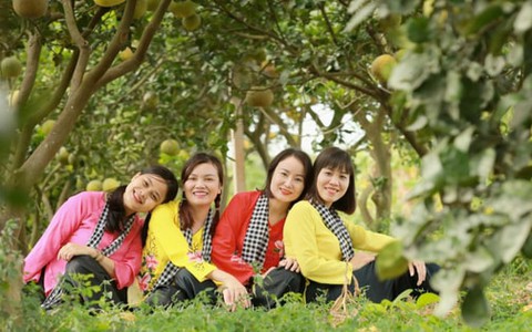 Phú Xuyên: Kết nối du lịch làng nghề với nông nghiệp trải nghiệm