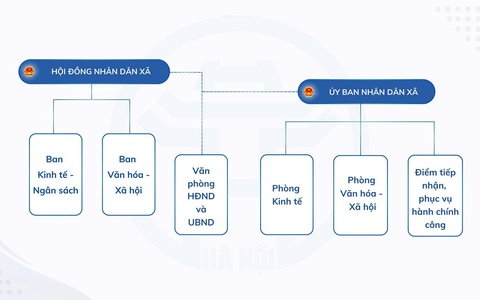 Tổ chức bộ máy