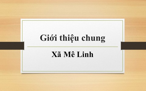Giới thiệu chung về Xã Mê Linh, Thành phố Hà Nội