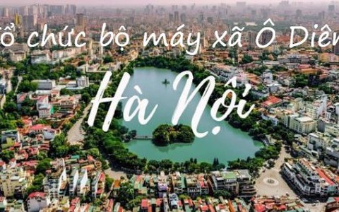 Tổ chức bộ máy