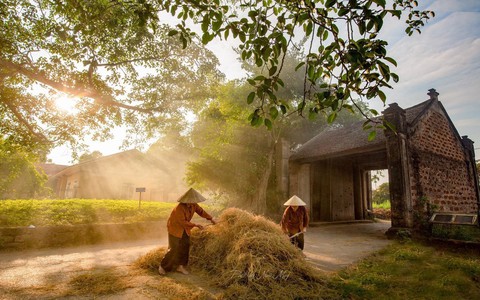 Hướng tới mô hình 