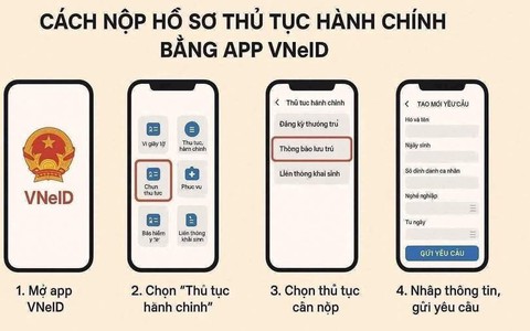 Hướng dẫn nộp hồ sơ trực tuyến bằng app VNeID
