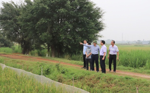 Các đồng chí lãnh đạo xã Phú Nghĩa kiểm tra thực tế tình hình sản xuất nông nghiệp, công tác vệ sinh môi trường trên địa bàn