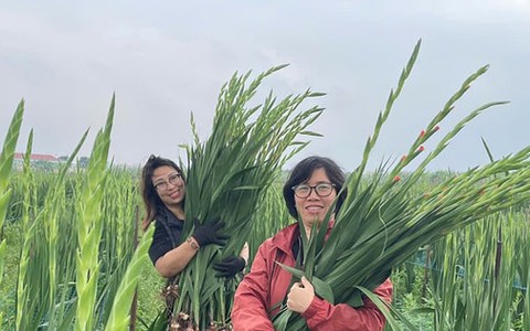 Thuận An triển khai hiệu quả nhiều mô hình sản xuất nông nghiệp