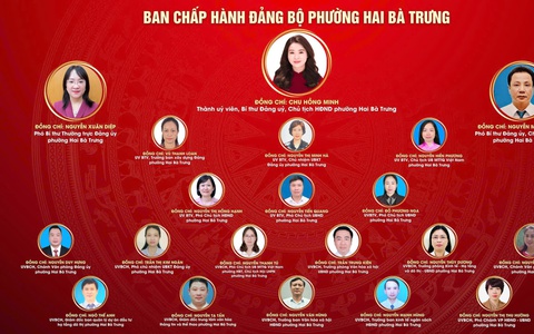 Giới thiệu bộ máy tổ chức của phường Hai Bà Trưng.