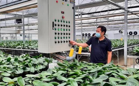 Người hồi sinh vùng đất trũng, sẻ chia với người khó khăn