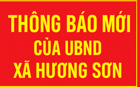 UBND xã Hương Sơn thông báo tiếp nhận hồ sơ năng lực các đơn vị cung cấp thực phẩm, suất ăn, nước uống cho học sinh bán trú