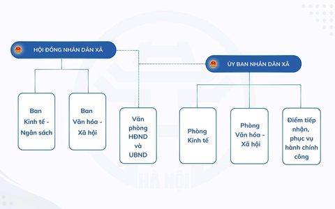 SƠ ĐỒ TỔ CHỨC BỘ MÁY