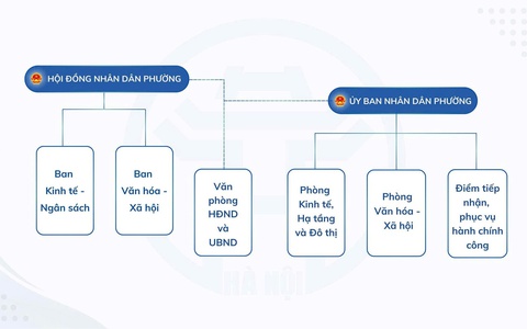 Sơ đồ tổ chức bộ máy chính quyền cấp xã phường Xuân Đỉnh