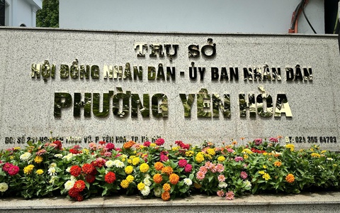Sơ đồ tổ chức bộ máy Hội đồng nhân dân lâm thời phường Yên Hòa, nhiệm kỳ 2021 - 2026