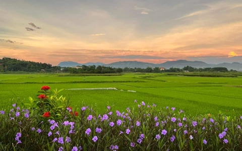 THÔNG BÁO TRỤ SỞ LÀM VIỆC CỦA CÁC CƠ QUAN