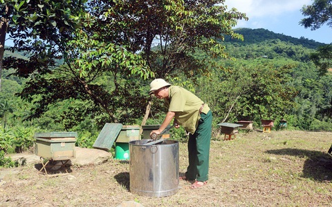 Bệnh binh Hoàng Công Tặng - quyết tâm phủ xanh vùng đồi gò