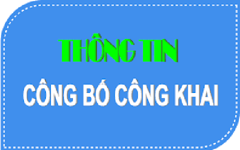 Thông báo công khai kết quả lựa chọn tổ chức thuê đất ngắn hạn đối với ô đất G.6/P1 và G.6/CCKO1 phường Long Biên