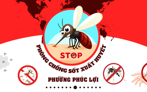 Phường Phúc Lợi tổ chức chiến dịch tổng vệ sinh môi trường, diệt bọ gậy, phòng, chống bệnh Sốt xuất huyết trên địa bàn phường năm 2025
