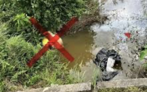 Kiểm soát và xử lý nghiêm, kịp thời, triệt để hành vi vi phạm vứt xác động vật, sản phẩm động vật mang mầm bệnh ra môi trường