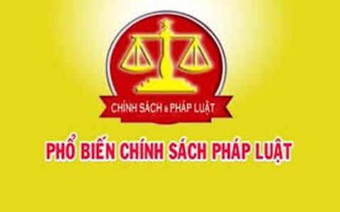 Nghị định 229/2025/NĐ-CP