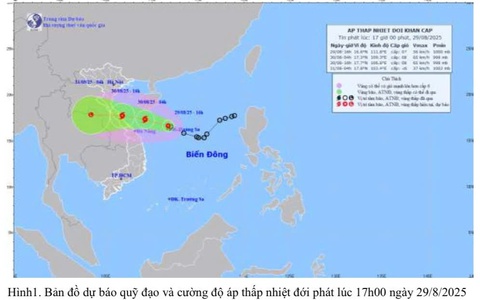 TIN ÁP THẤP NHIỆT ĐỚI KHẨN CẤP