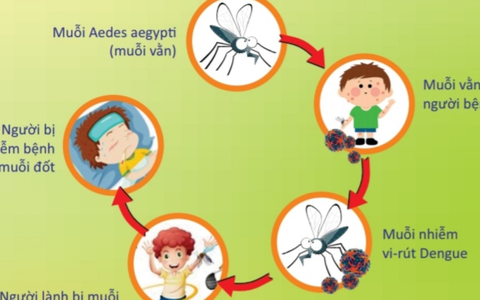 Chủ động phòng, chống sốt xuất huyết trong mùa mưa bão