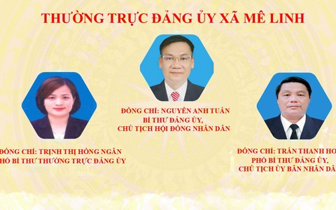 Giới thiệu bộ máy tổ chức của xã Mê Linh