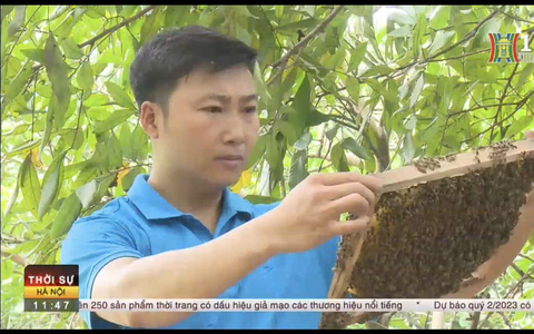 Mật ong hoa Nhãn Tuấn Minh- Sản phẩm OCOP 3 sao.