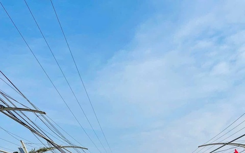 Làng hoa cây cảnh Tích Giang – Điểm đến xanh cho những trải nghiệm độc đáo