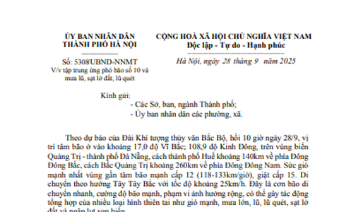 TOÀN THÀNH PHỐ TẬP TRUNG ỨNG PHÓ BÃO SỐ 10 VÀ MƯA LŨ, SẠT LỞ ĐẤT, LŨ QUÉT
