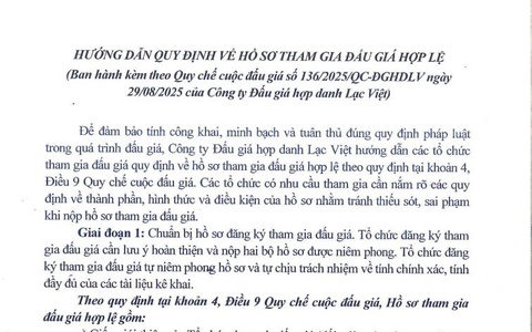 Hướng dẫn quy định về hồ sơ tham gia đấu giá hợp lệ