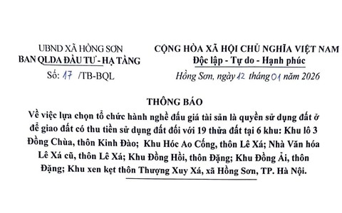 Thông báo số 17/TB-BQL ngày 12/01/2026 của Ban quản lý dự án Đầu tư - Hạ tầng
